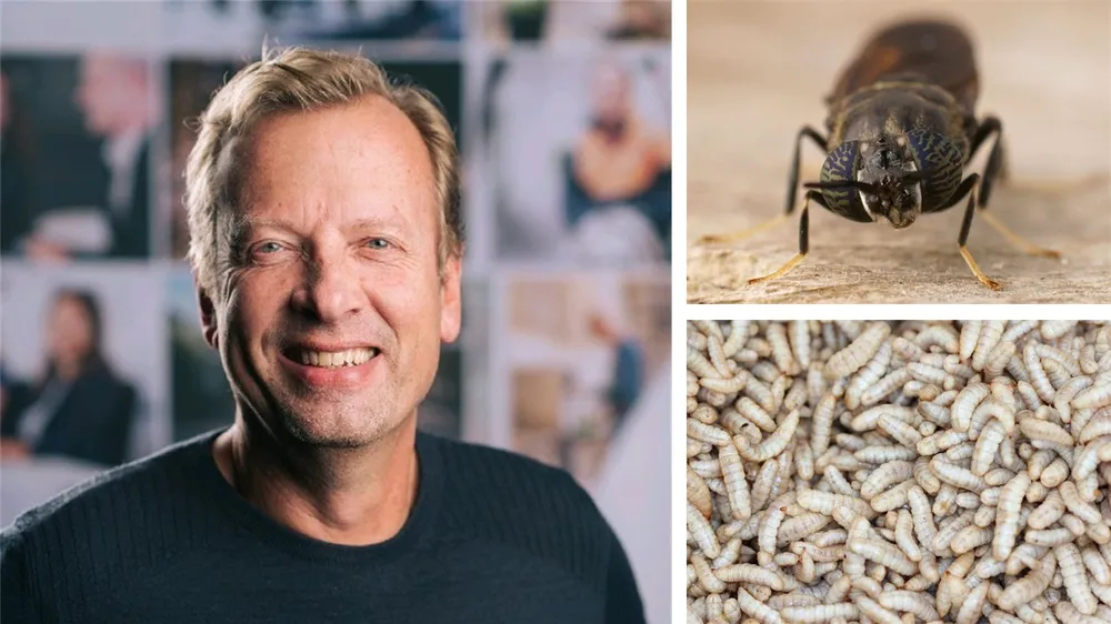 Protix se réoriente vers l'Asie pour l'agriculture d'insectes