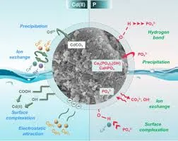 Un nouveau matériau pour éliminer cadmium et phosphate des eaux polluées