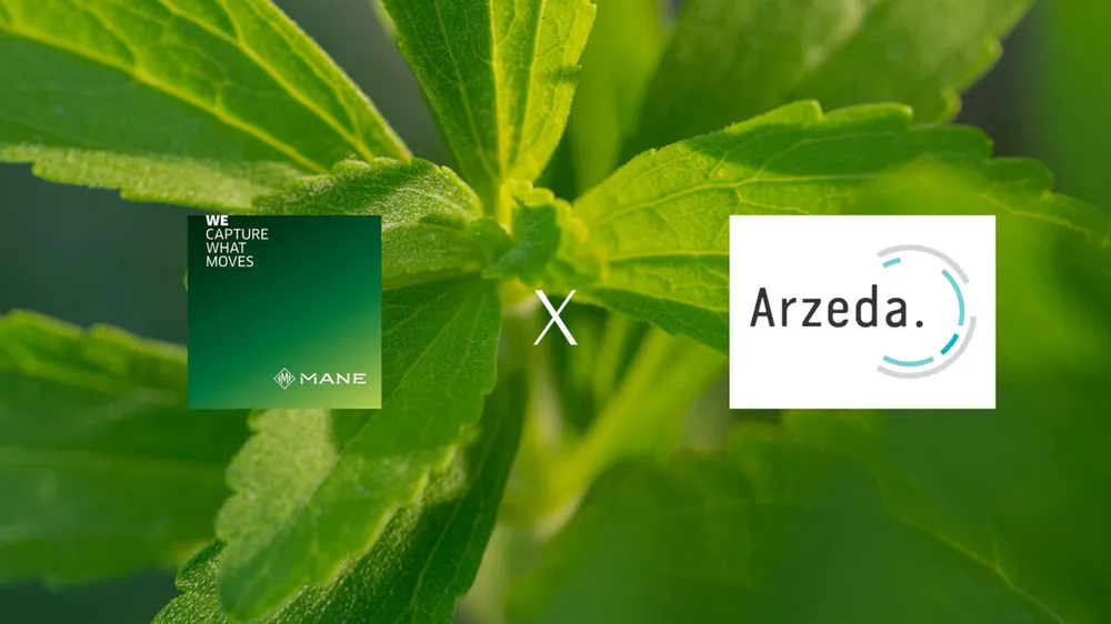 MANE et Arzeda s'associent pour des solutions de réduction de sucre innovantes