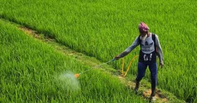 La India restringe el uso de glifosato por razones de seguridad
