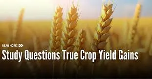 Agricultural Yields: Are Advances in Variety Selection Overestimated?