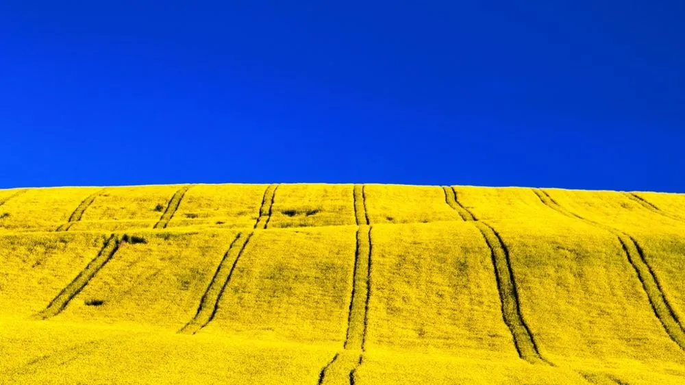 Can Biofuels Mitigate the Impact of the Ukrainian Crisis on Sugar and Oilseed Markets?