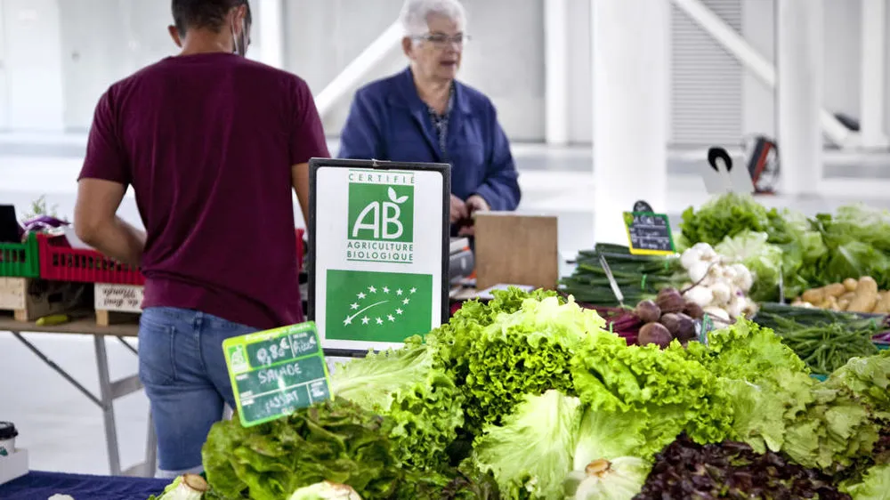 Perspectives de l'agriculture biologique en France à l'horizon 2040