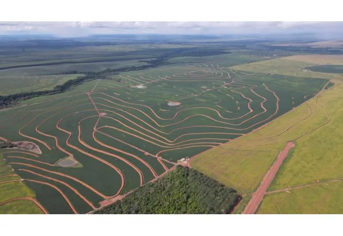 Cartografía Digital y Biocontrol: Una Combinación Ganadora Contra los Nematodos