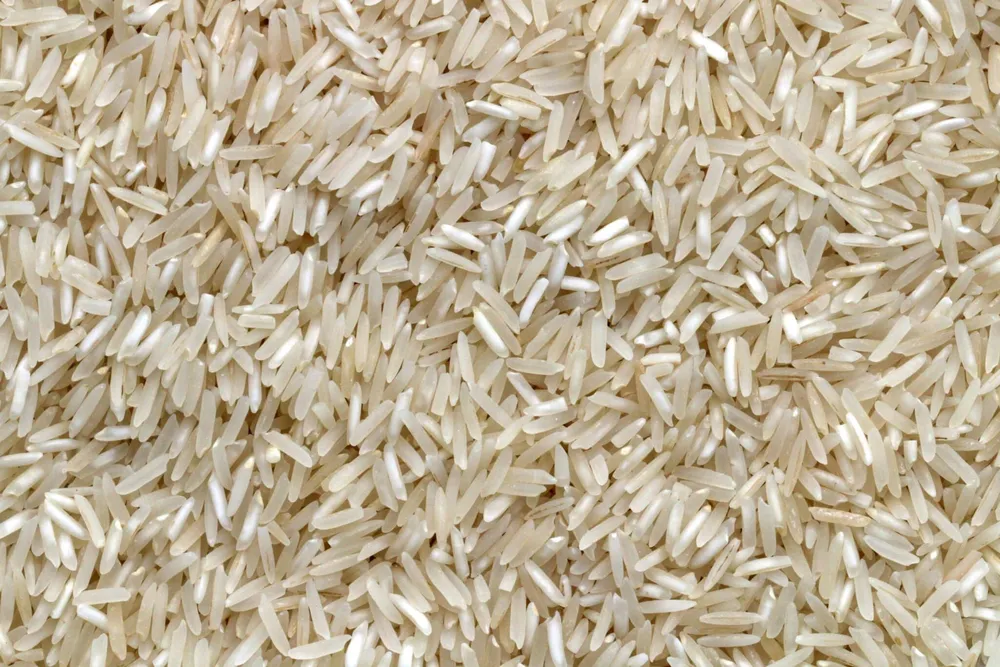 Se Identifica un Gen de Arroz con Doble Función en Tolerancia a la Sequía y Rendimiento