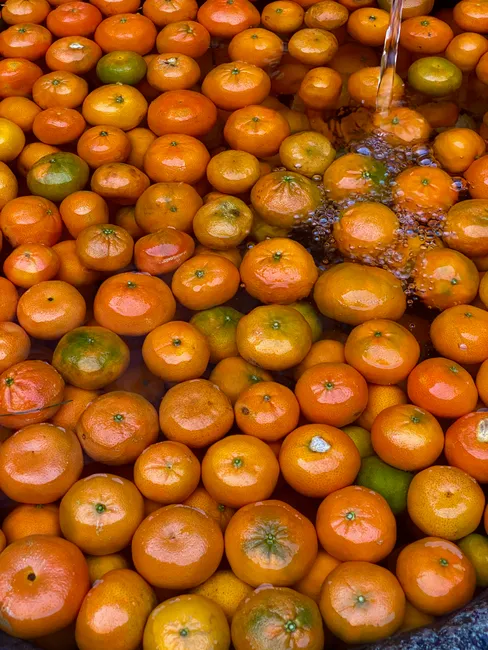 Exposition vibrante de mandarines fraîches immergées dans l'eau sur un marché de Marrakech.