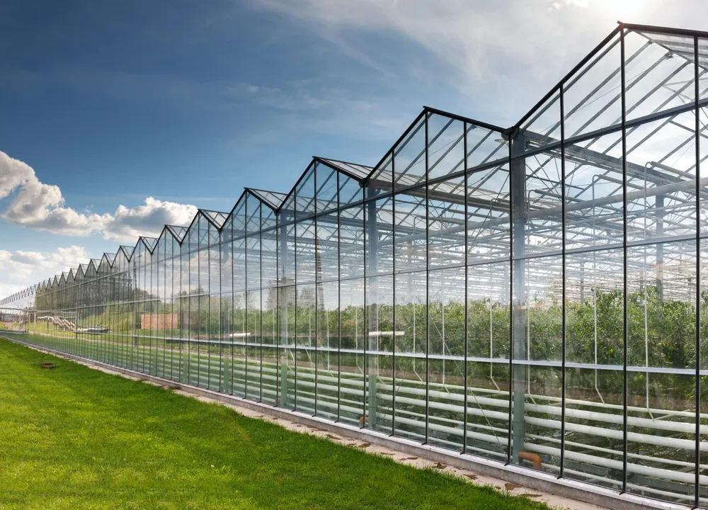 Bloemteknik Secures Funding to Develop Autonomous Lighting Platform for Greenhouses