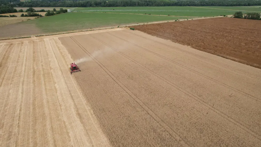 Ralentissement de la production agricole en France face à l'Europe