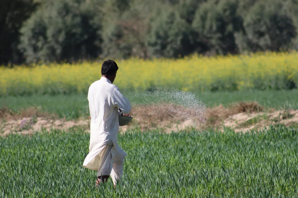 Nano-Fertilizantes: Meghmani Crop Nutrition obtiene aprobación para Nano DAP, Nano NPK y Nano Zinc en India