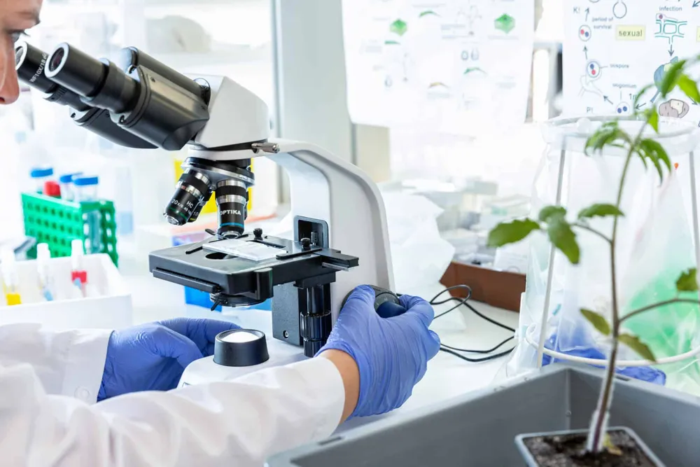 Micropep Technologies : Promisin, un biofongicide innovant en route pour l'approbation