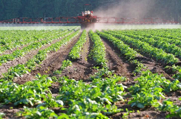 Glyphosate: In the Face of Early Withdrawal Challenges, New Weeding Technologies Emerge as Solutions