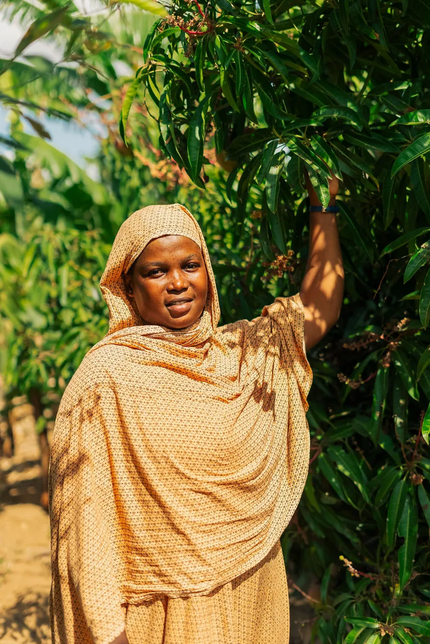 Project ALIVE : Renforcer la nutrition par l'agriculture de mangues au Kenya