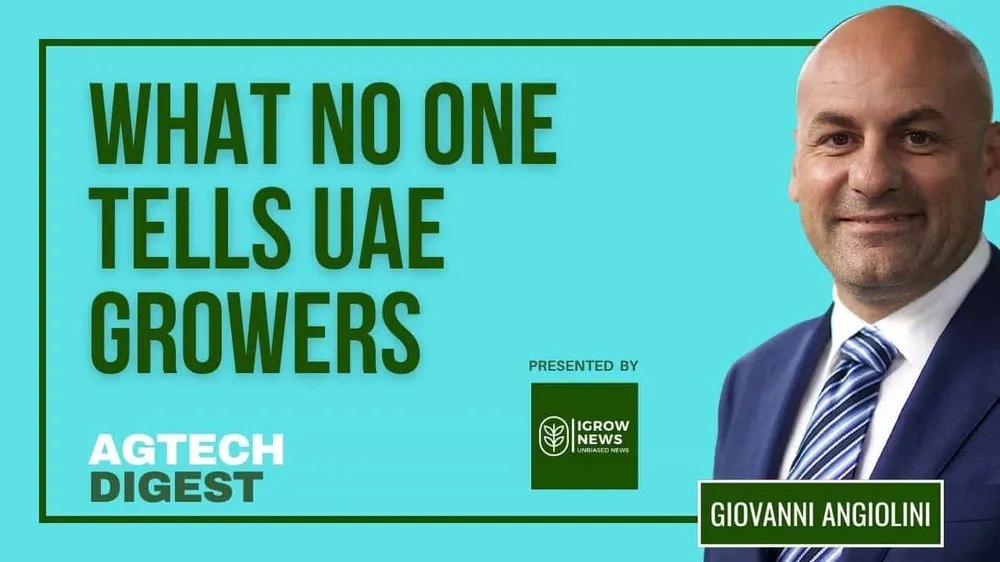 Food Security in the Gulf: Balancing Ambitions and Realities