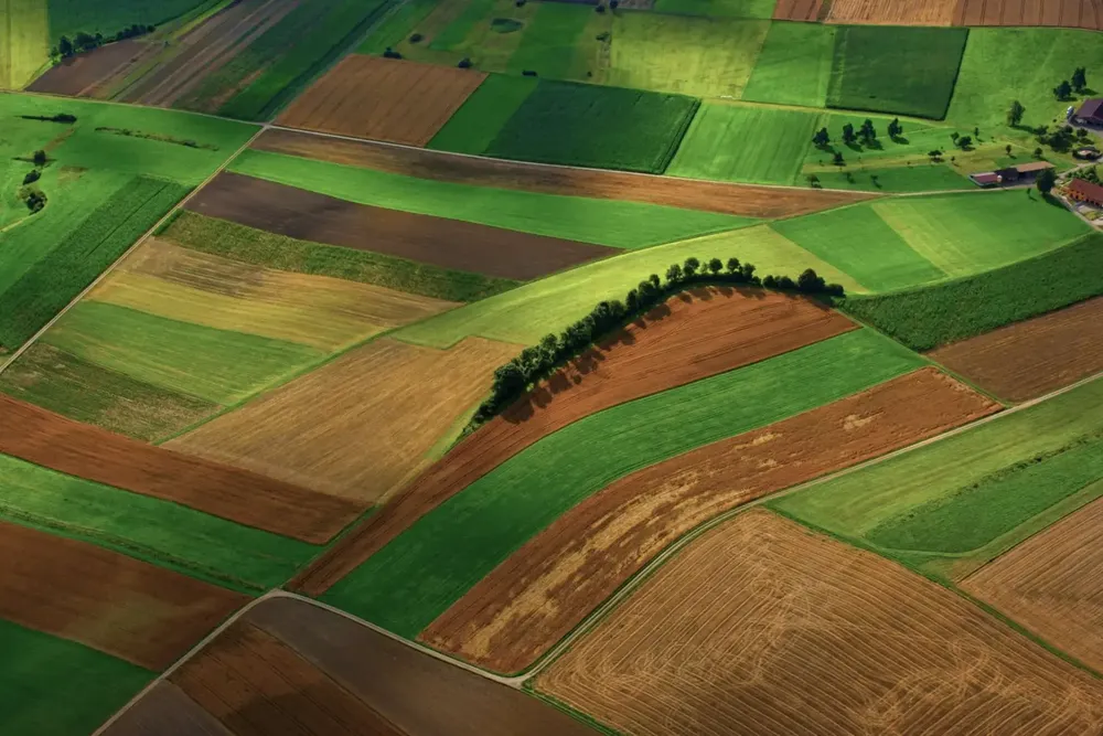 Nestlé y Soil Capital: Una asociación para la agricultura regenerativa en Europa