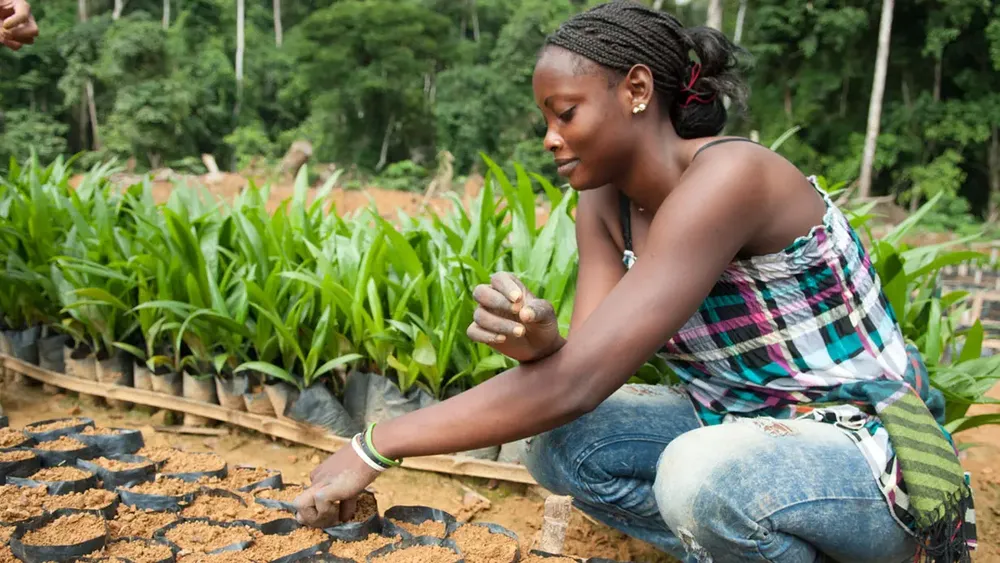 Image credit: Olam Agri.