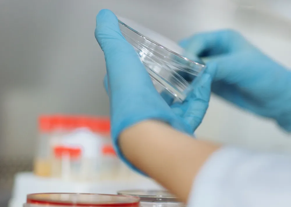 900 Cepas Microbianas, Una Plataforma Industrial: La Apuesta de Apoena Agro por la Próxima Generación de Insumos Biológicos
