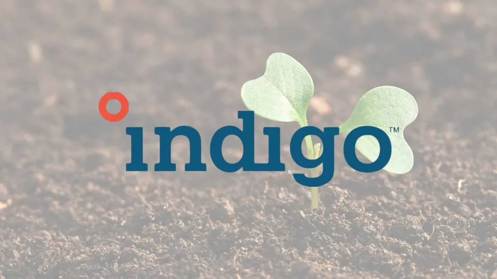 Regenerative Agriculture: A Historic Carbon Agreement Between Indigo and Microsoft