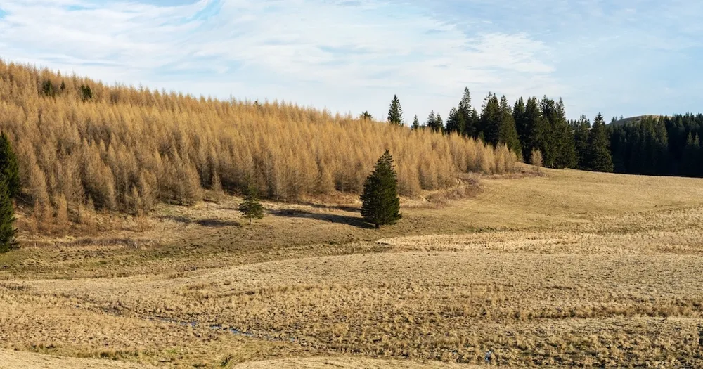 L'Inrae dévoile 15 défis pour transformer l'agriculture d'ici 2030