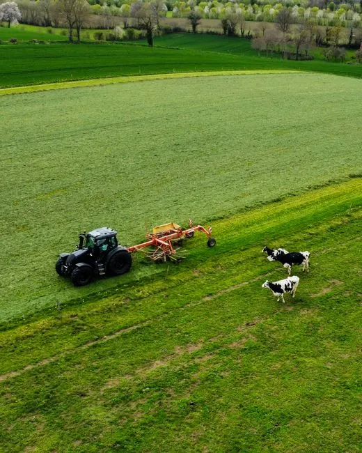 Vue aérienne d'un tracteur travaillant dans un champ verdoyant, avec des vaches qui paissent à proximité, illustrant l'agriculture rurale.