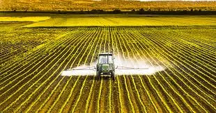 La controverse sur les pesticides de l'UE : enjeux et impacts globaux