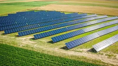 Agrivoltaics: A Key Lever for Agriculture in the Face of Climate Change