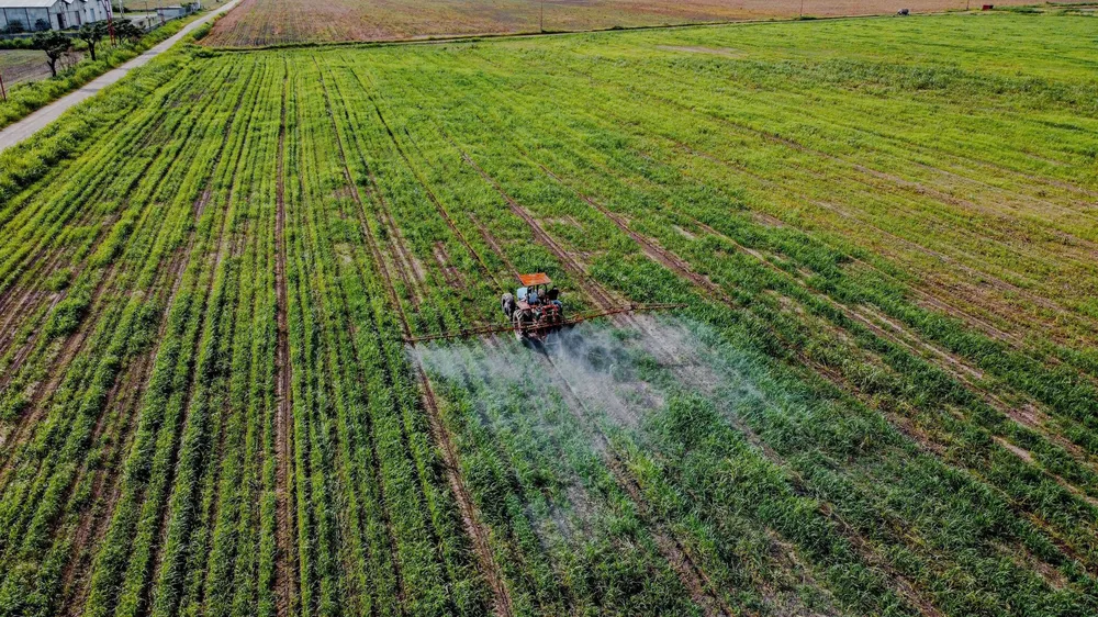 Fertilización sostenible: recomendaciones personalizadas gracias a la IA