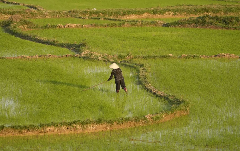 Créditos: Yagyaansh Khaneja.