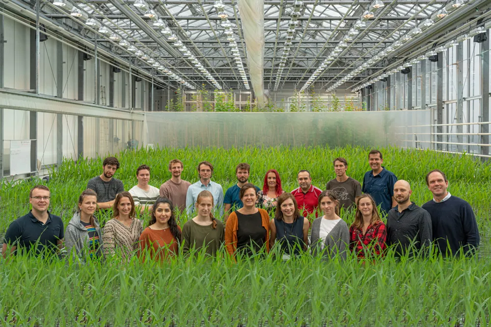 Investissements et partenariats clés dans l'agritech : focus sur Aphea.Bio et Bayer