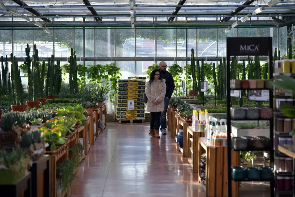 Un centre de jardinage intérieur vibrant avec une variété de plantes et deux clients en train de faire des achats.