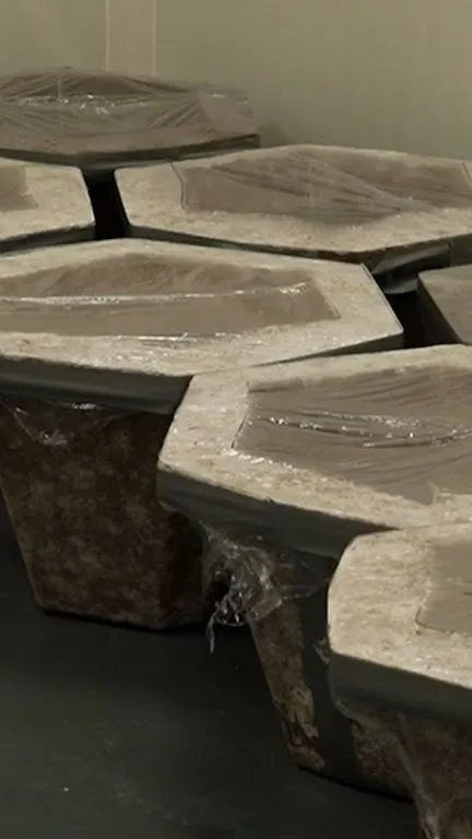 Mushrooms as a Sustainable Alternative to Leather and Plastic