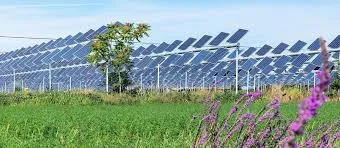 Agrivoltaïsme: 35% des exploitants citent des freins techniques comme principaux obstacles au développement