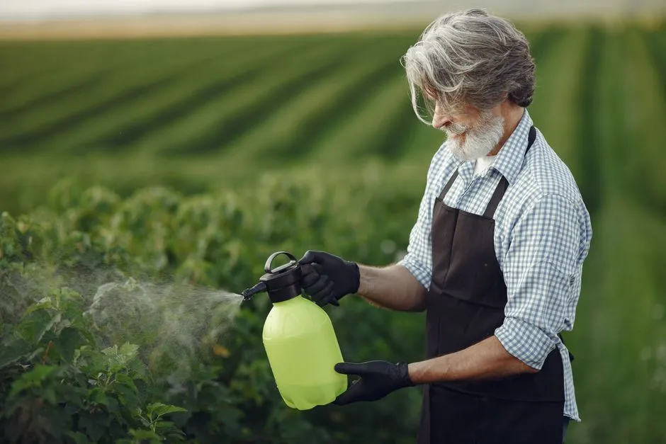 Homme senior en tablier utilisant un vaporisateur sur des terres agricoles verdoyantes pendant la journée, améliorant la santé des cultures.