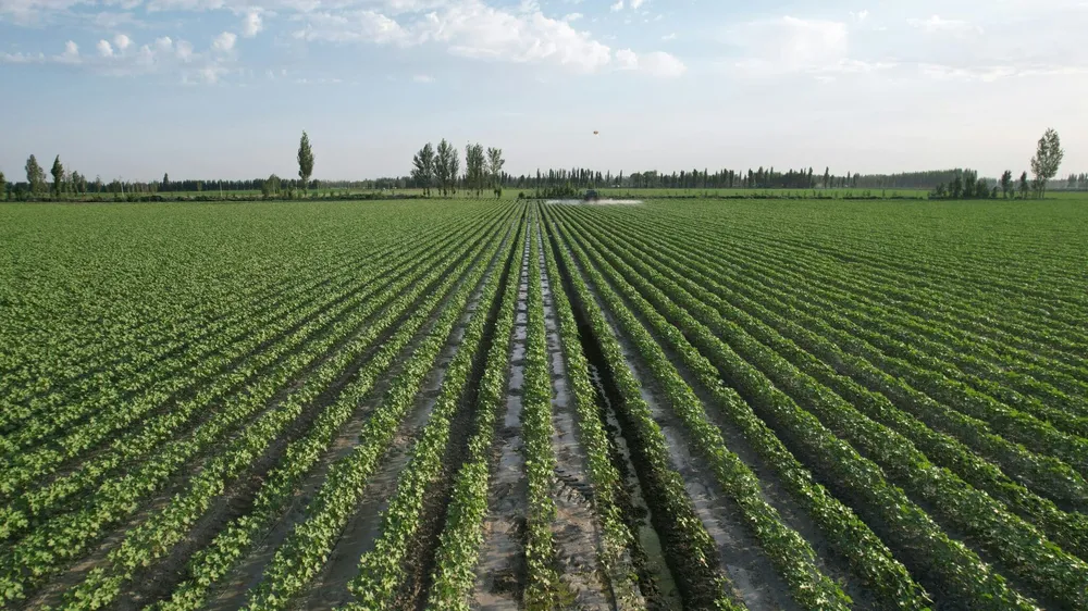Crop Protection: The Driving Force of Agricultural Innovation in 2025