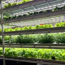 Hippo Harvest recauda 30 millones de dólares para acelerar sus invernaderos robóticos