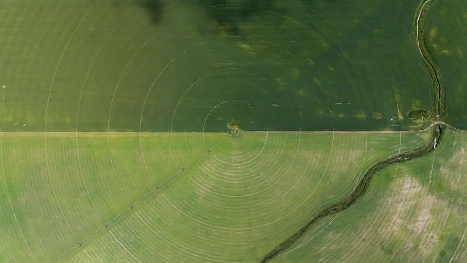 Vue aérienne présentant des cercles d'irrigation agricole et une rivière à côté de champs verts.