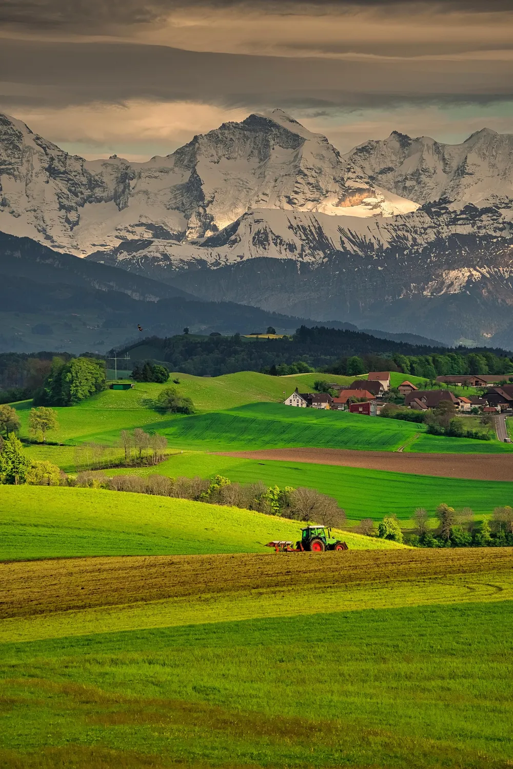 La Suisse élabore une stratégie pour une meilleure protection des cultures