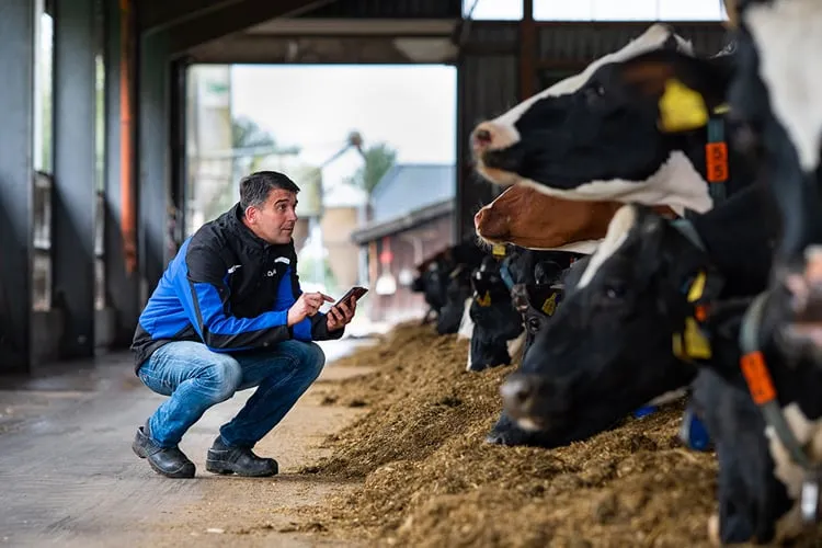 DeLaval dévoile DeLaval Plus : une avancée numérique pour la gestion laitière