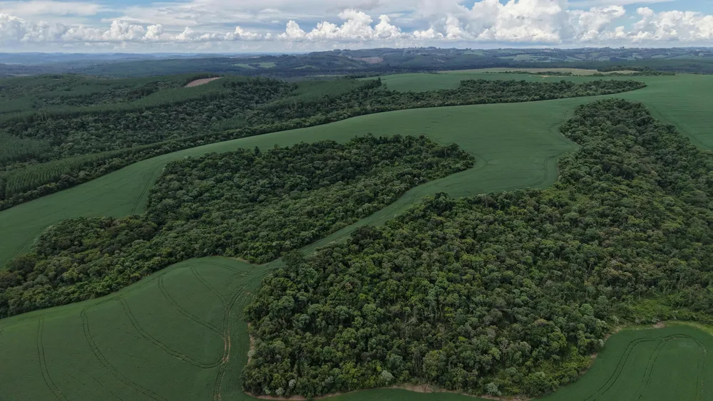 Paraná, Brasil. Créditos: Giovani Nunes.