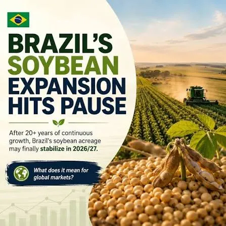 Brasil: El Crecimiento de las Áreas de Soja Hace una Pausa