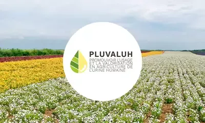 The PLUVALUH Project: Towards Sustainable Agriculture with Human Urine