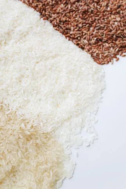 Gros plan de riz cru varié montrant la diversité des types de grains sur un fond blanc.