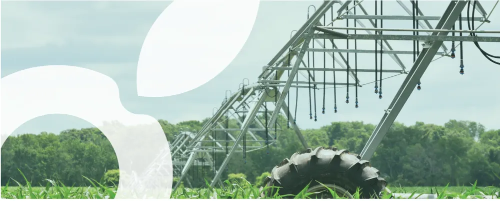 Riego de precisión: Abelio modela las necesidades de agua a partir de escenarios climáticos