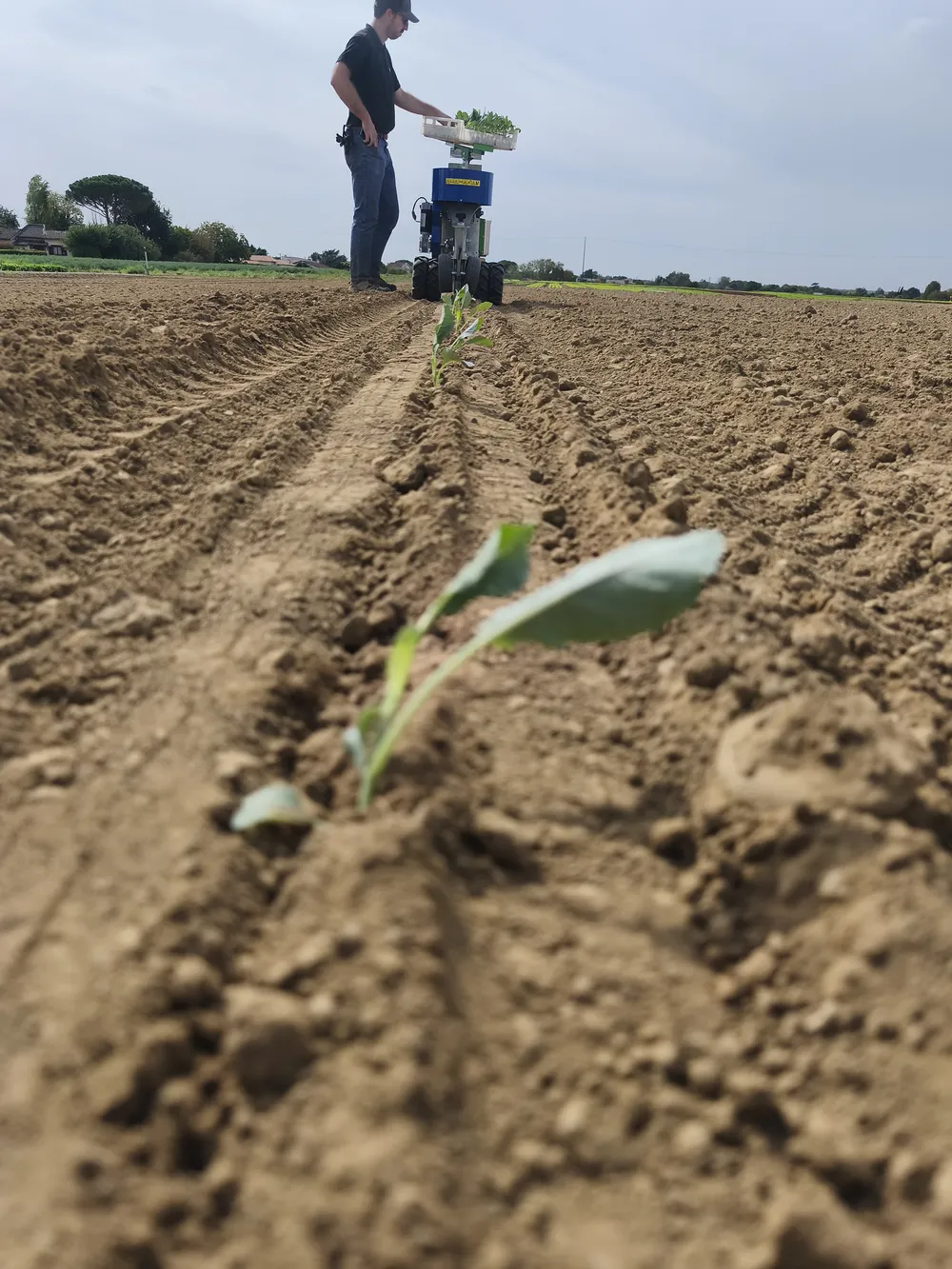 OZ: Una revolución agritech desde la plantación hasta la cosecha