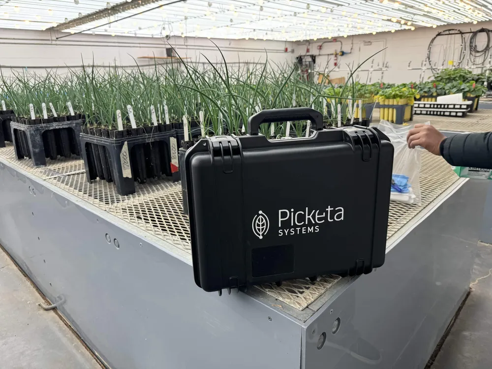 Picketa Systems recauda 2,1 millones de dólares para acelerar su tecnología de análisis nutricional de cultivos en tiempo real