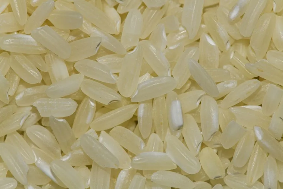 Gros plan détaillé de grains de riz non cuits, parfait pour la photographie alimentaire et des grains.