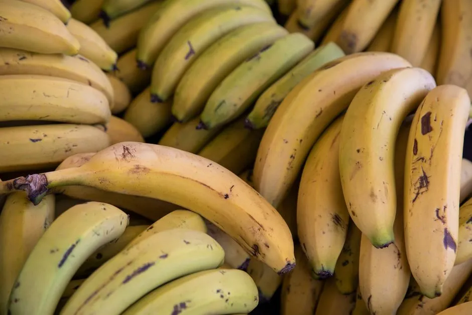 Une prise de vue rapprochée détaillée de bananes biologiques fraîches et mûres mettant en valeur leur couleur jaune vibrante et leur texture.