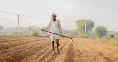 India Refuerza Su Ecosistema Semillero con Más de 5,600 Nuevas Variedades Protegidas