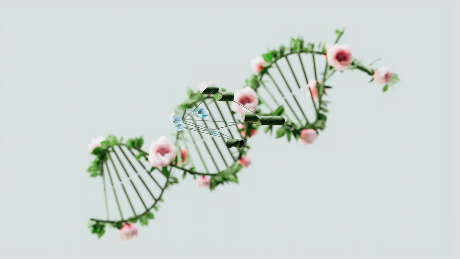 Une représentation conceptuelle d'une hélice d'ADN ornée de fleurs roses et de feuilles vertes.