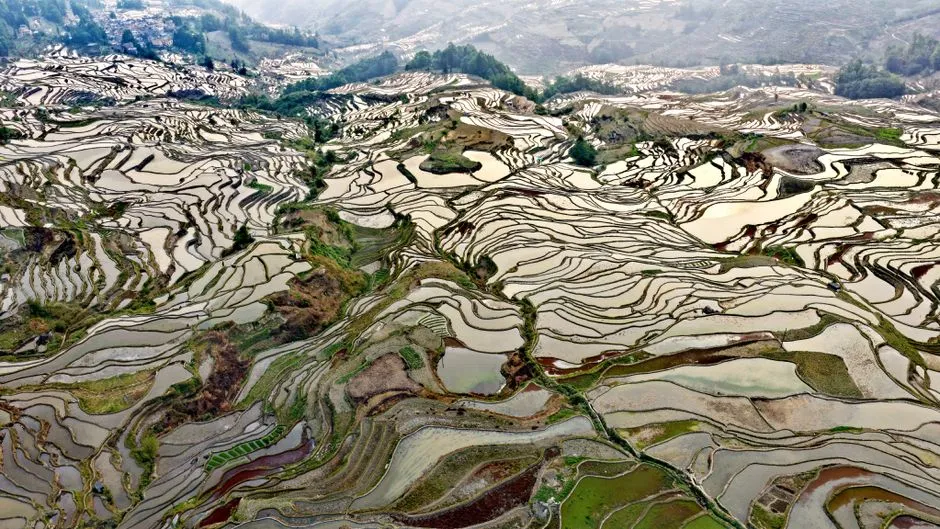 Vue aérienne époustouflante des rizières de Yuanyang mettant en valeur des motifs complexes et une beauté naturelle.