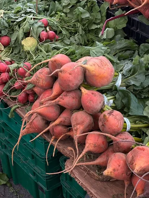 Un tas de betteraves dorées et de radis exposés sur une table de marché, avec des feuilles vertes visibles.